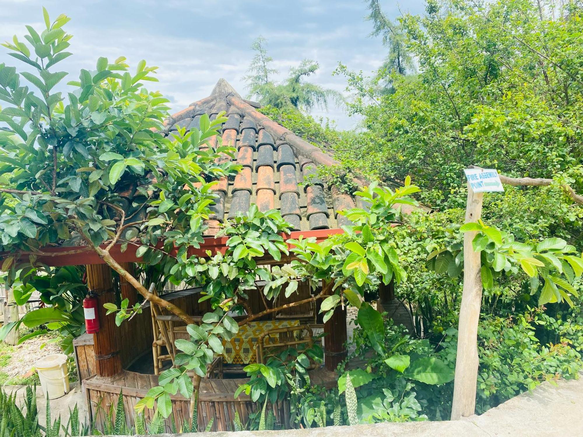 Kivu Macheo Eco-Lodge Kibuye ภายนอก รูปภาพ